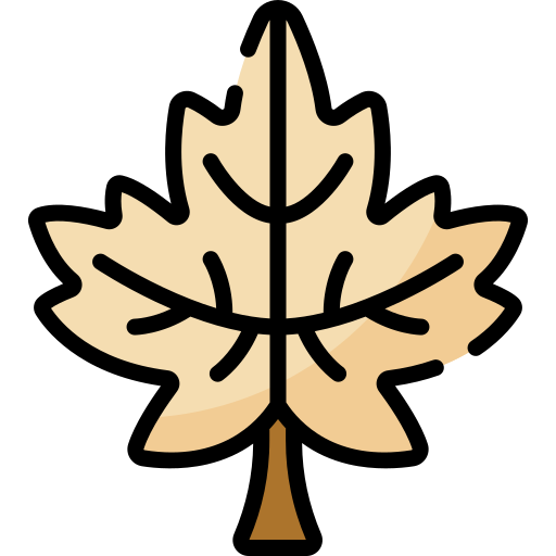 Maple leaf Special Lineal color icon