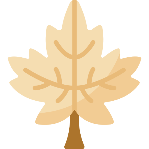 단풍잎 Special Flat icon