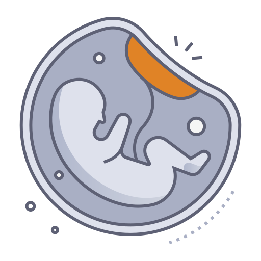 feto Generic gradient lineal-color icono