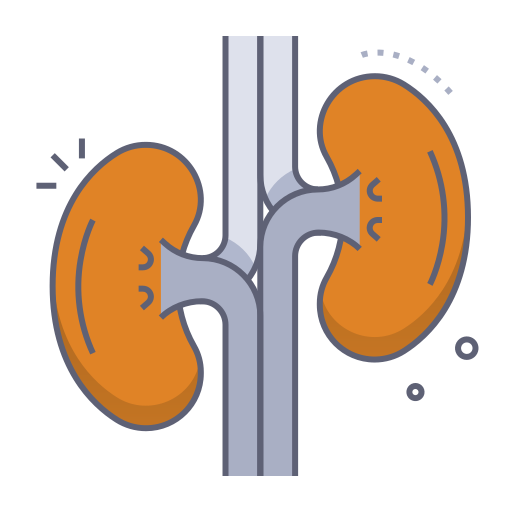 Kidney Generic gradient lineal-color icon