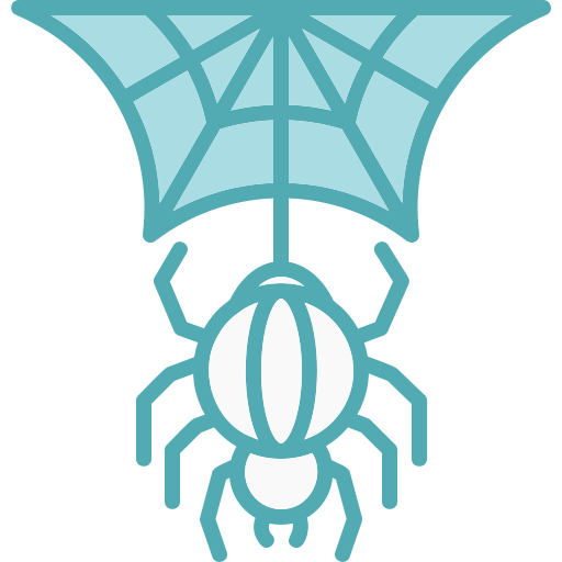 spinne Generic color lineal-color icon