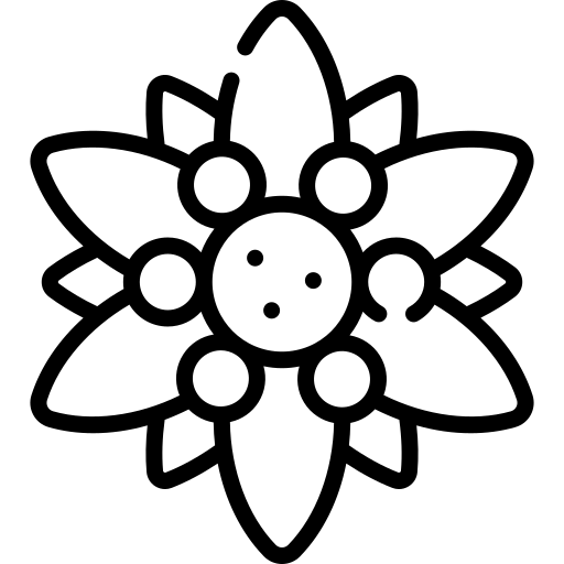 エーデルワイス Generic black outline icon