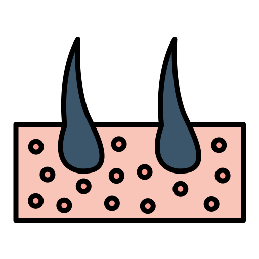 epidermide Generic color lineal-color icona