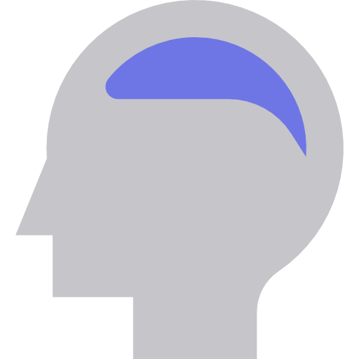 Brain srip Flat icon