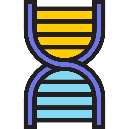 dna srip Lineal Color icon