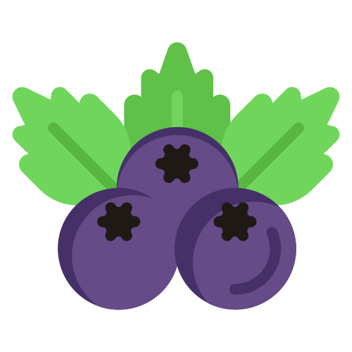 Berries Generic color fill icon