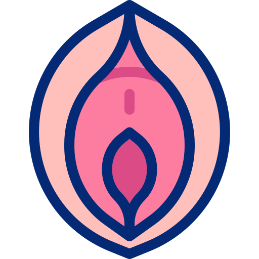 膣 Basic Accent Lineal Color icon