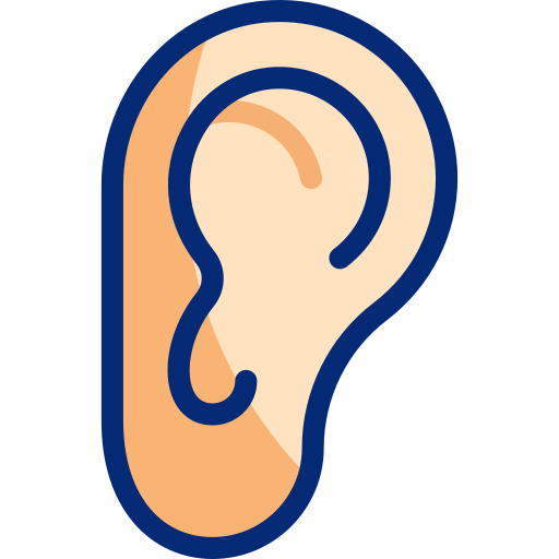 耳 Basic Accent Lineal Color icon