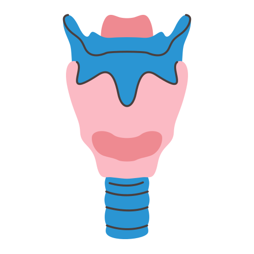 Larynx Generic color fill icon