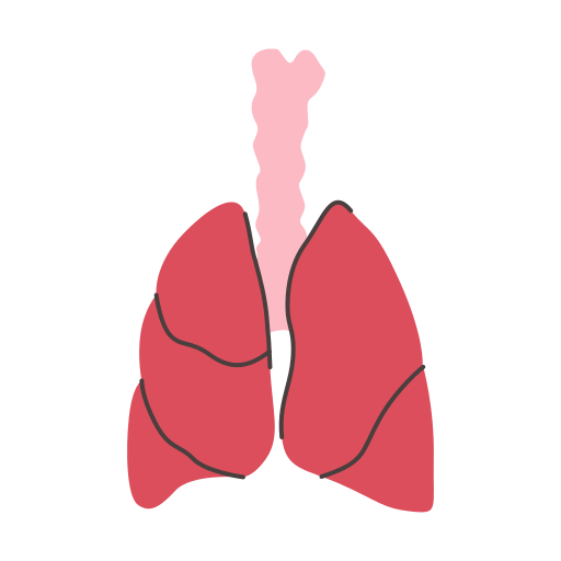 pulmões Generic color fill Ícone