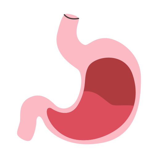 Stomach Generic color fill icon