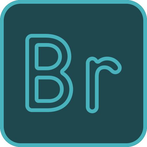 br Generic color lineal-color icon