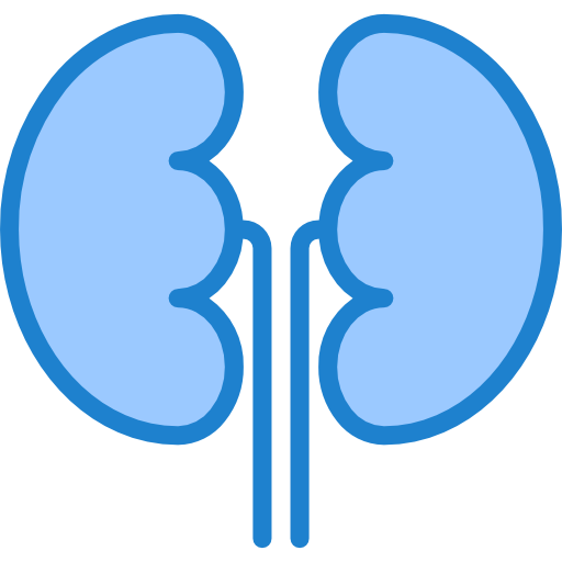 Kidneys srip Blue icon