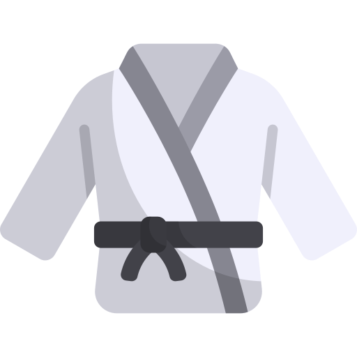 Karate Generic color fill icon