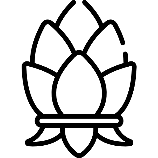 로터스 Special Lineal icon