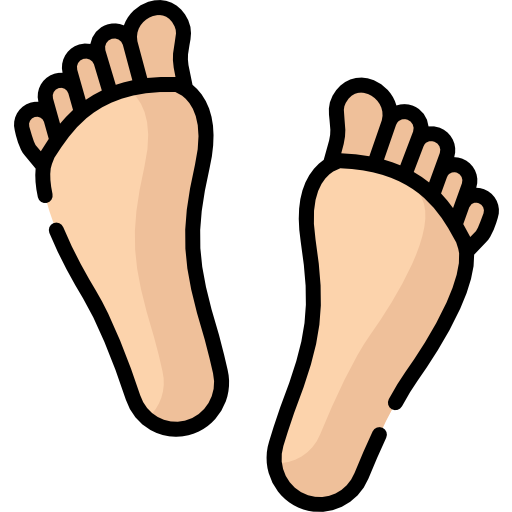 voetafdruk Special Lineal color icoon