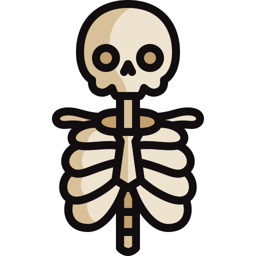 esqueleto Generic color lineal-color icono
