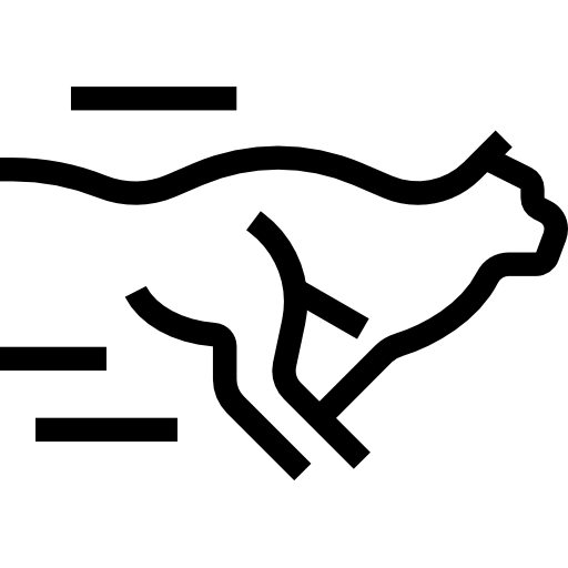 치타 Pictogramer Outline icon