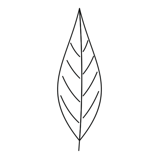 Birch leaf Generic outline icon