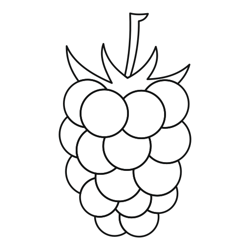 Berry Generic outline icon