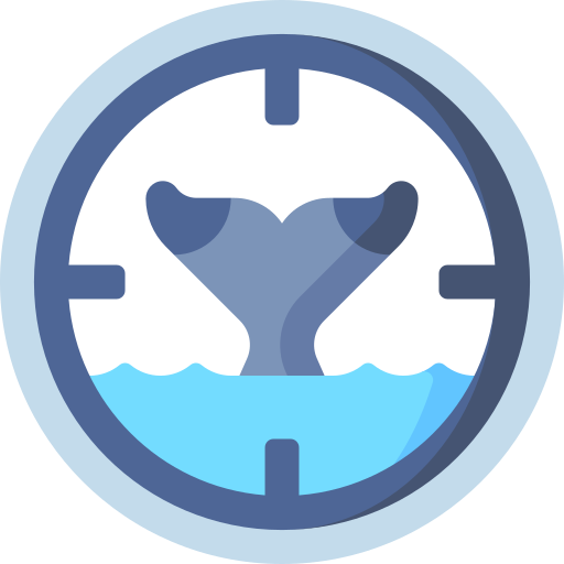 Whale watching Special Flat icon