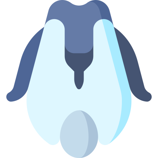 Penguin Special Flat icon