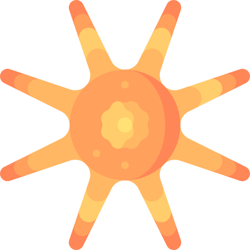 Sun starfish Special Flat icon