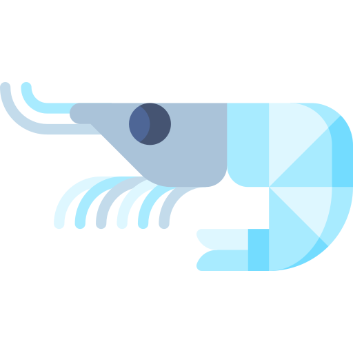 krill Special Flat icon