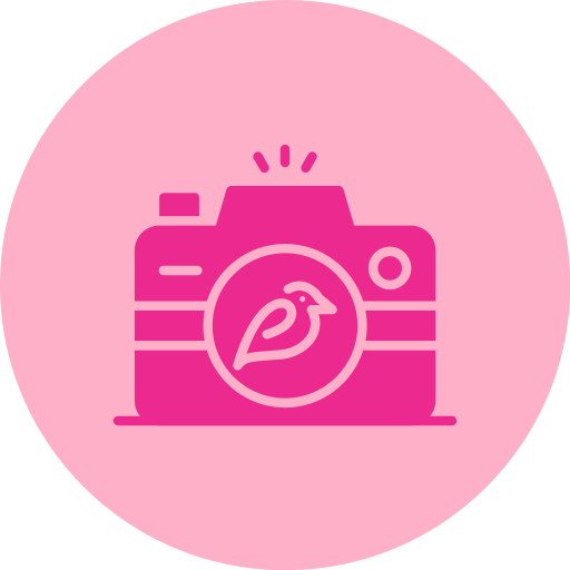 Camera Generic color fill icon