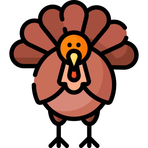Turkey Special Lineal color icon