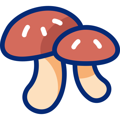 버섯 Basic Accent Lineal Color icon