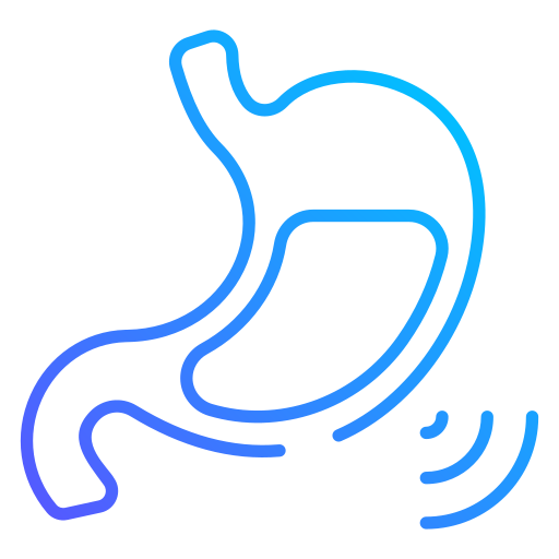 胃 Generic gradient outline icon