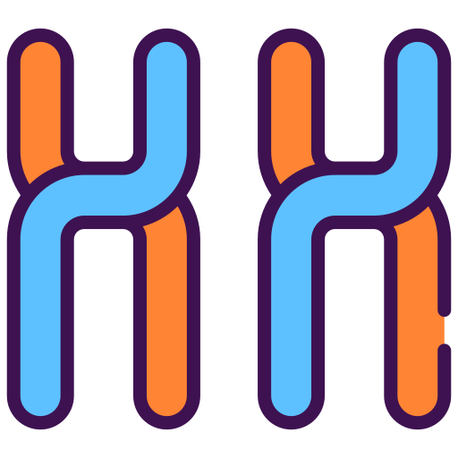 chromosom Generic color lineal-color icon