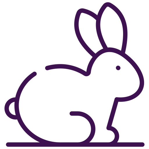 Rabbits Generic color lineal-color icon