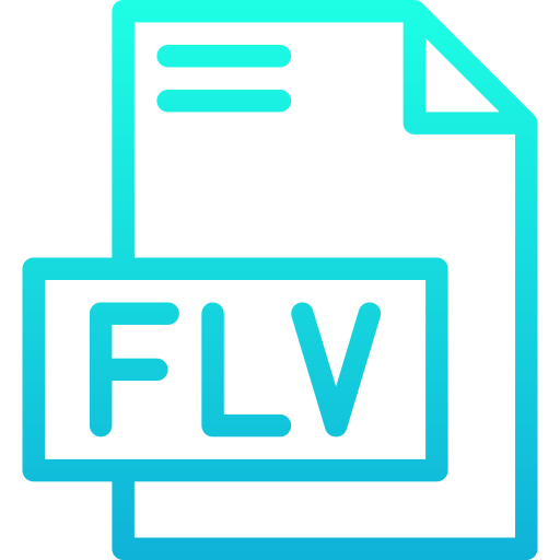 Flv Generic gradient outline icon