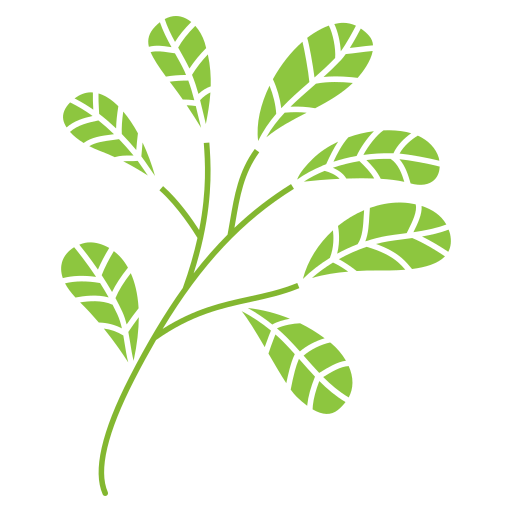 가지 잎 Generic color fill icon