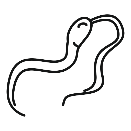 Worm Generic outline icon