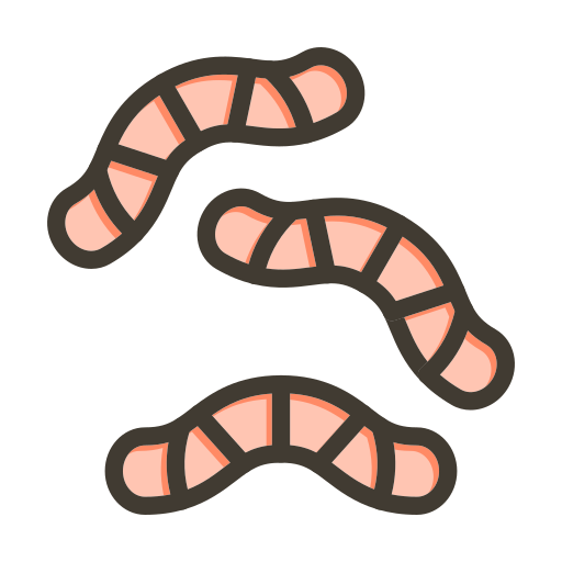 Worms Generic color lineal-color icon