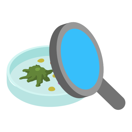Magnifier Generic Others icon