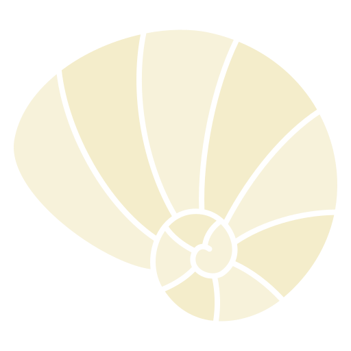 Mollusk Generic color fill icon