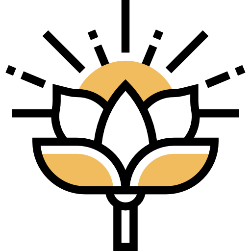 로터스 Meticulous Yellow shadow icon