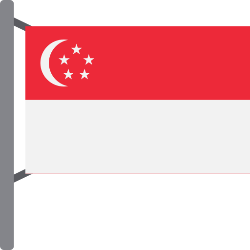 シンガポール Generic color fill icon