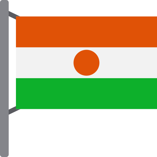 Niger Generic color fill icon