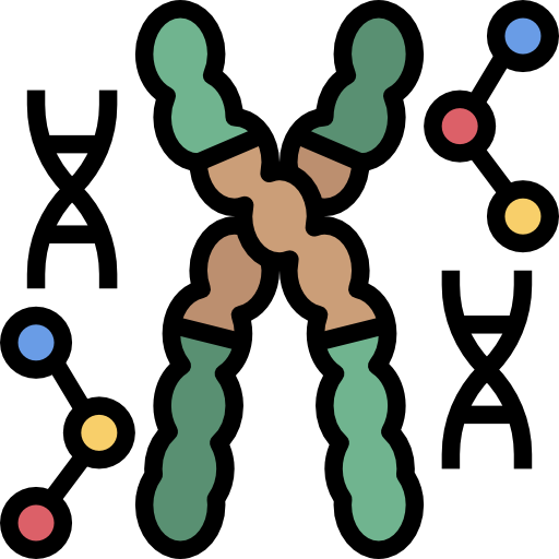 Dna Surang Lineal Color icon