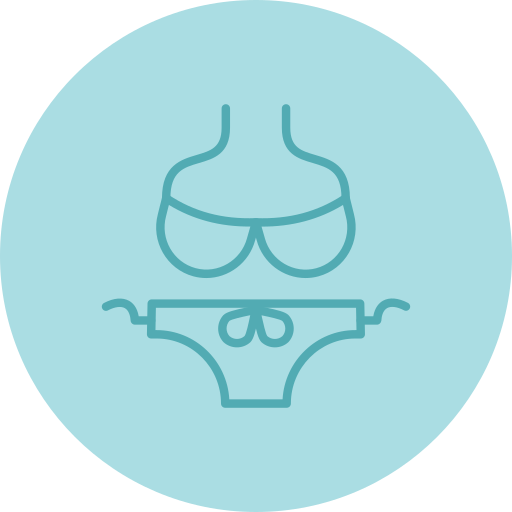bikini Generic color fill icon