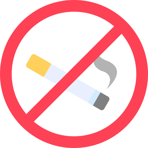 vietato fumare Generic color fill icona
