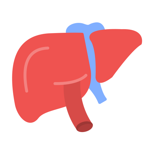 Liver Generic color fill icon