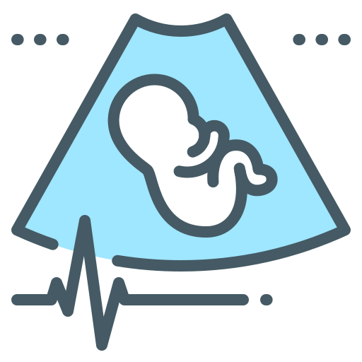 fetal Generic color lineal-color icono