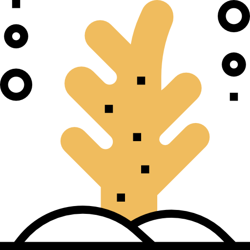 koral Meticulous Yellow shadow ikona