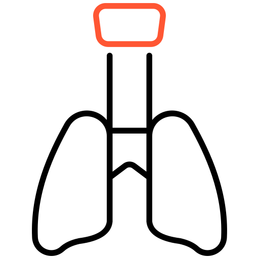 polmoni Generic color outline icona